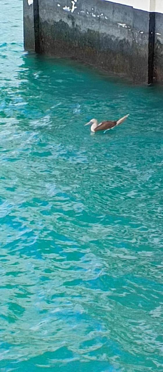 El Paraiso Puerto Ayora  Εξωτερικό φωτογραφία